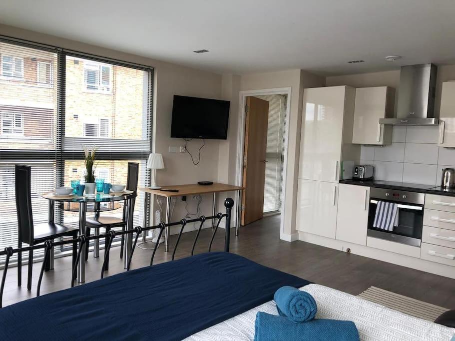 STUDIO Apartment opposite shoreditch Park