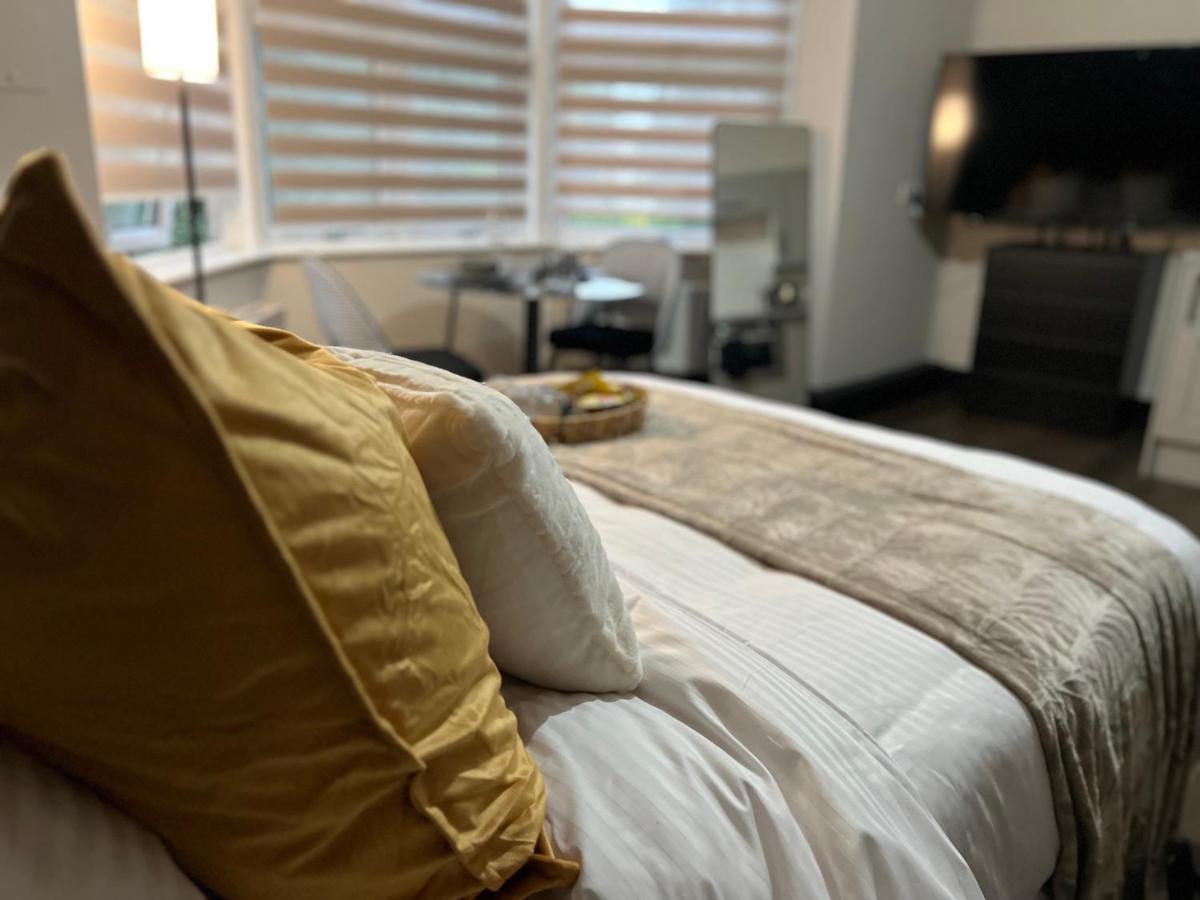 King Size Studio Apartment Streatham