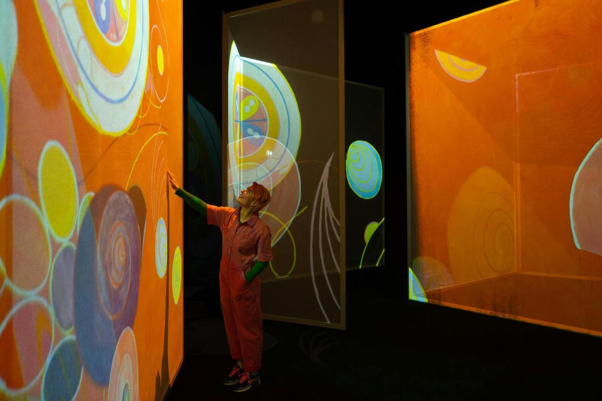 Admission to Frameless Immersive Art Experience