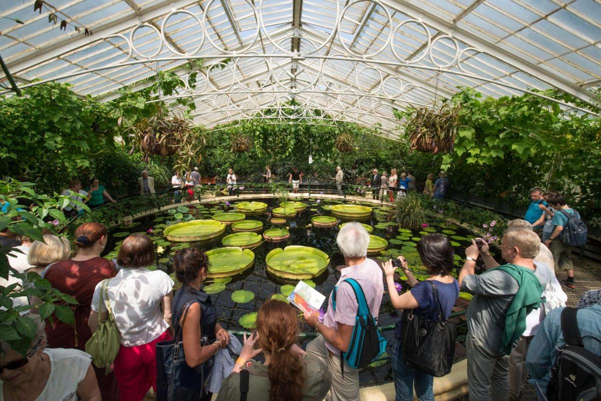 Admission to Kew Gardens