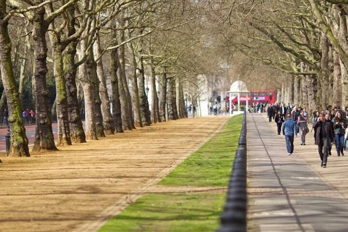 Buckingham Palace & Changing of the Guard Experience