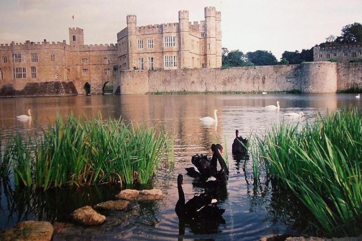 Leeds Castle, Canterbury and White Cliffs of Dover Private Car Tour