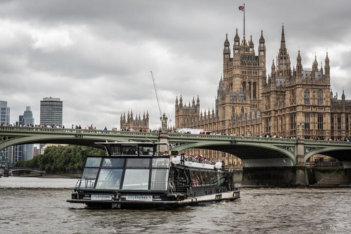 London River Cruise & Westminster Walking Tour