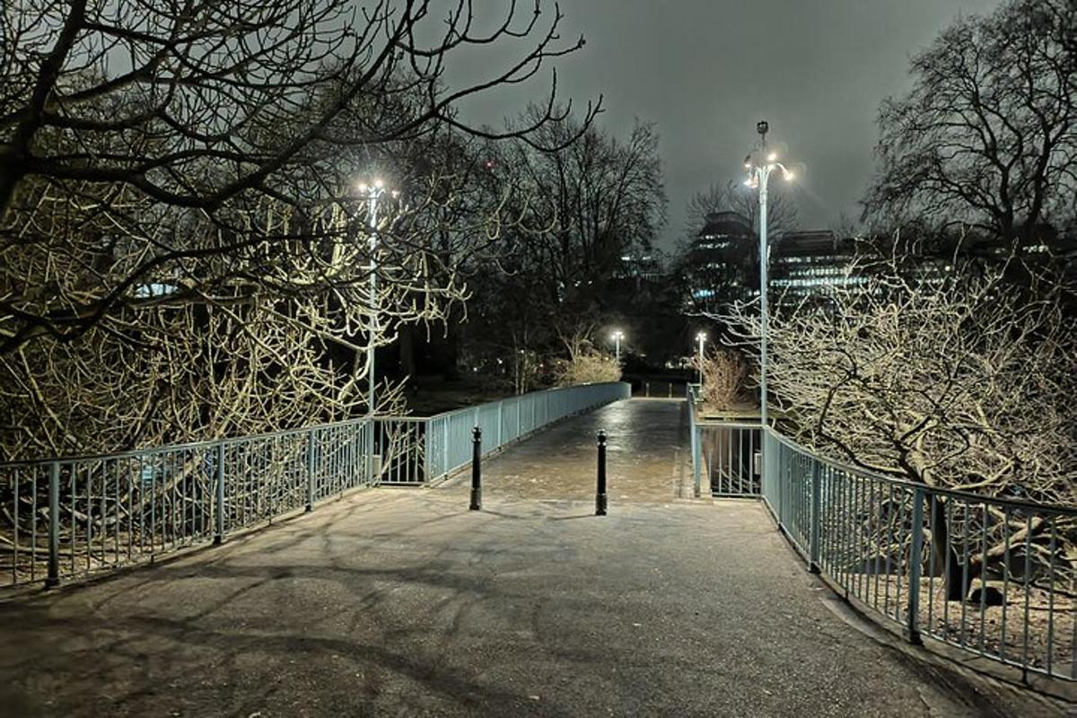 London Royal Westminster By Night Walking Tour