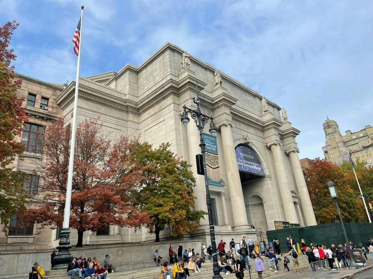 Natural History Museum Guided Tour