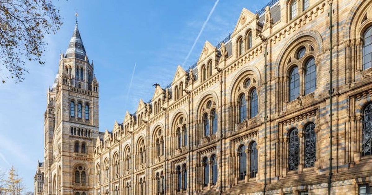 Natural History Museum Guided Tour