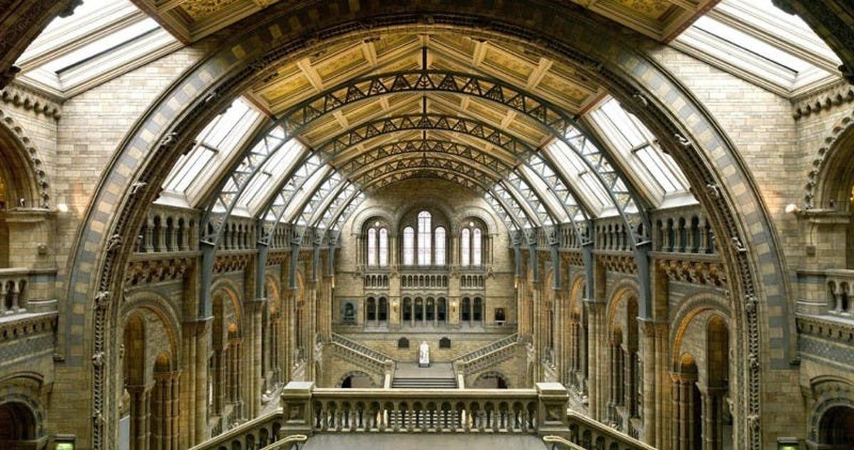 Natural History Museum Guided Tour