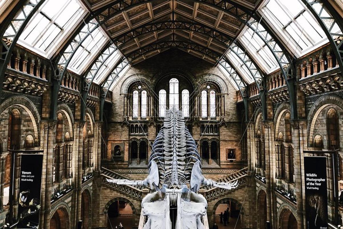 Natural History Museum London – Exclusive Guided Museum Tour