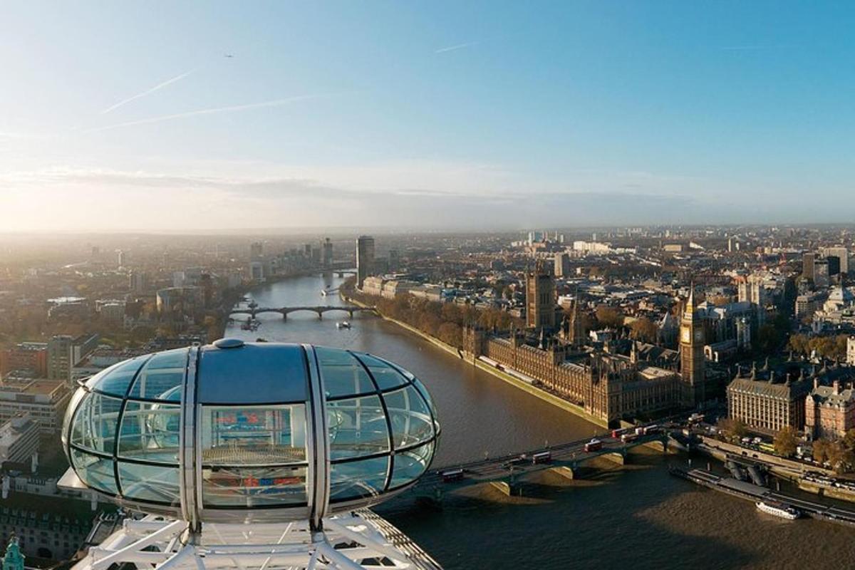 Private Guided Tour: Tower Of London and London Eye (4 hours)