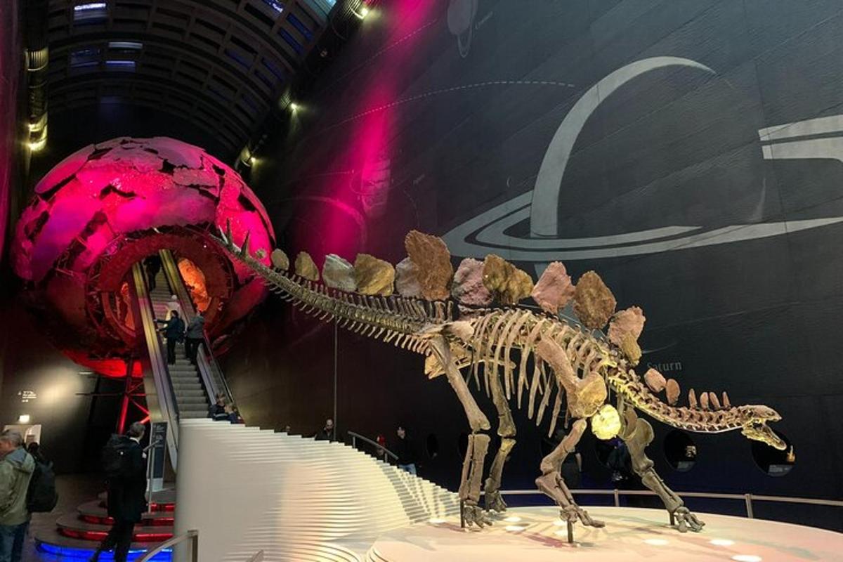 Private Guided Tour of Natural History Museum – Skip the Line