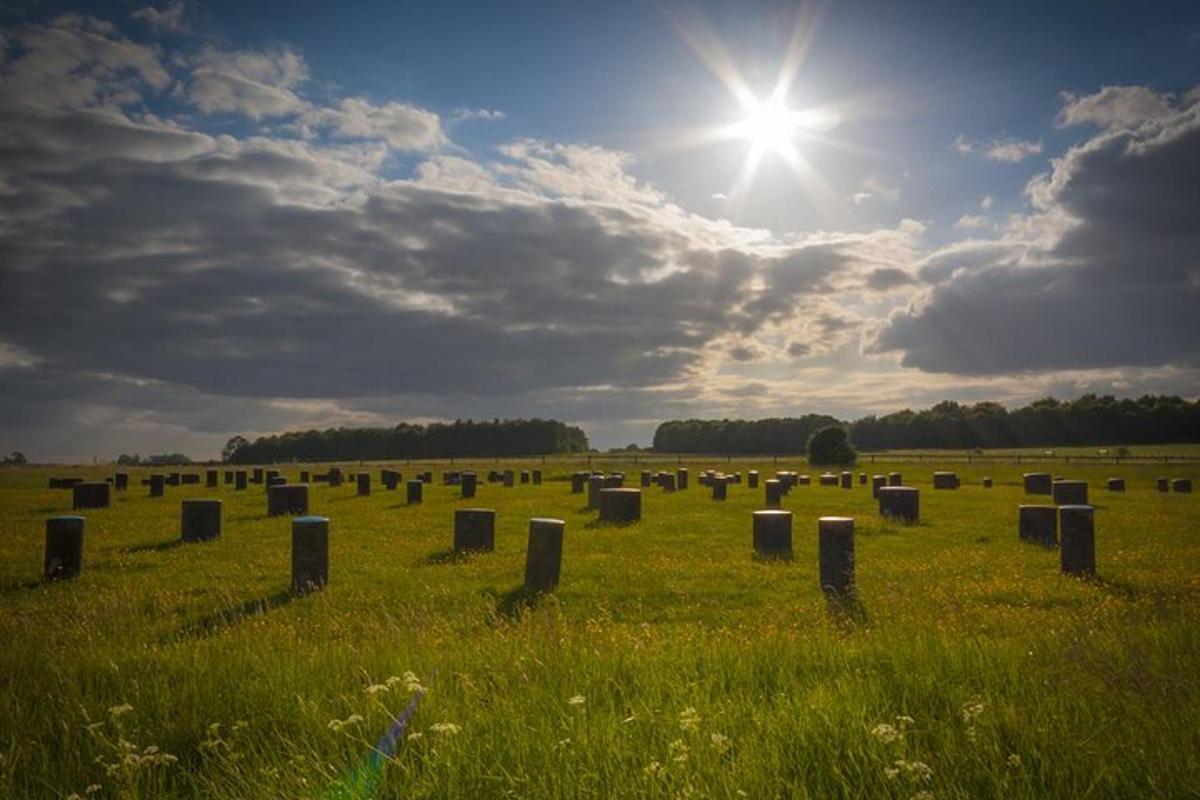 Private Stonehenge, Woodhenge, Avebury Stone Circle Day Tour