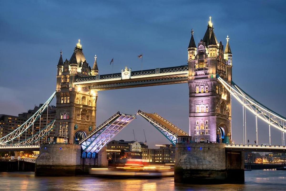 Private Tour London Highlights, entries Westminster Abbey, The Tower of London