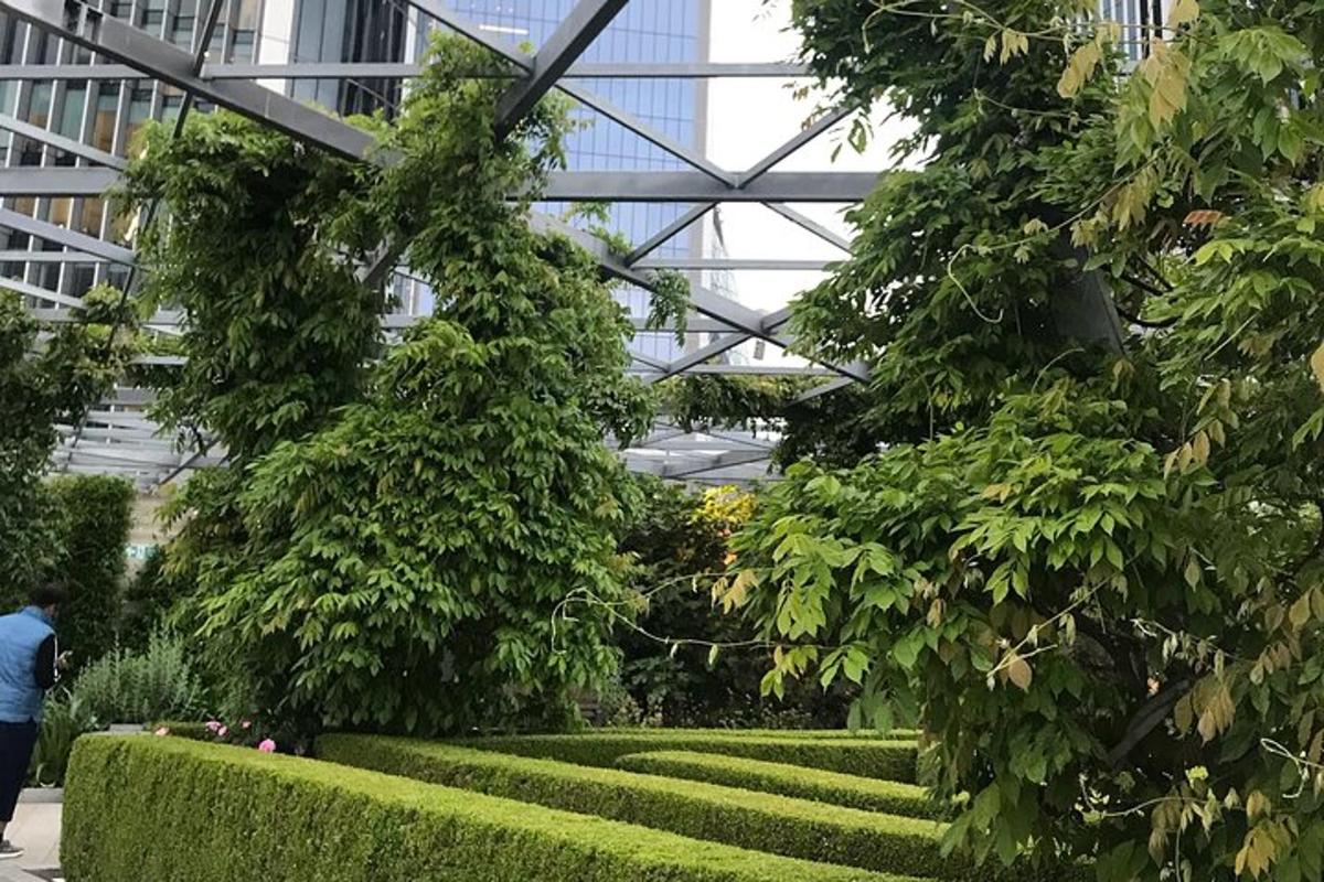 Rooftop Garden & City of London Historic Walking Tour