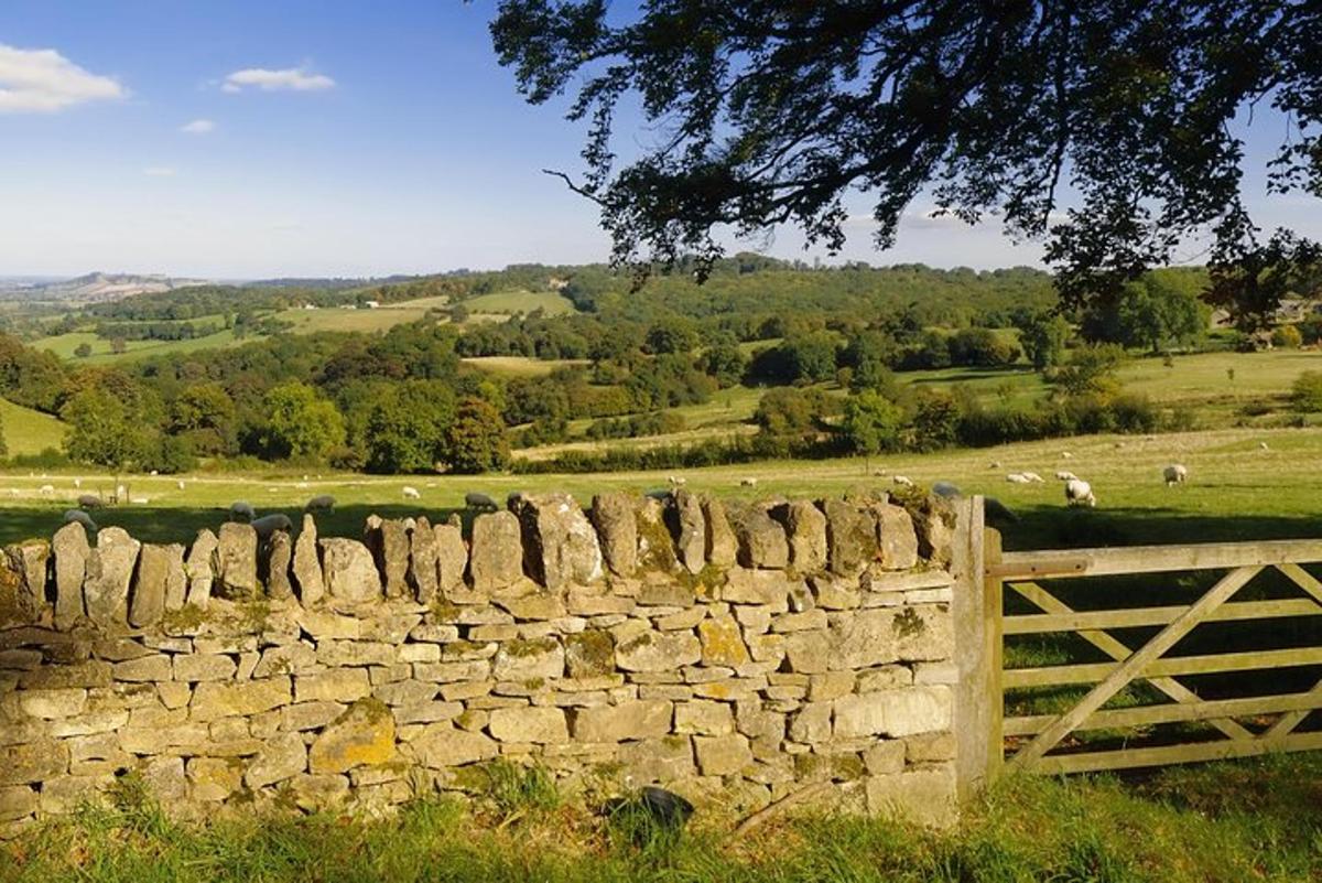 Small-Group Cotswolds Tour (From London)