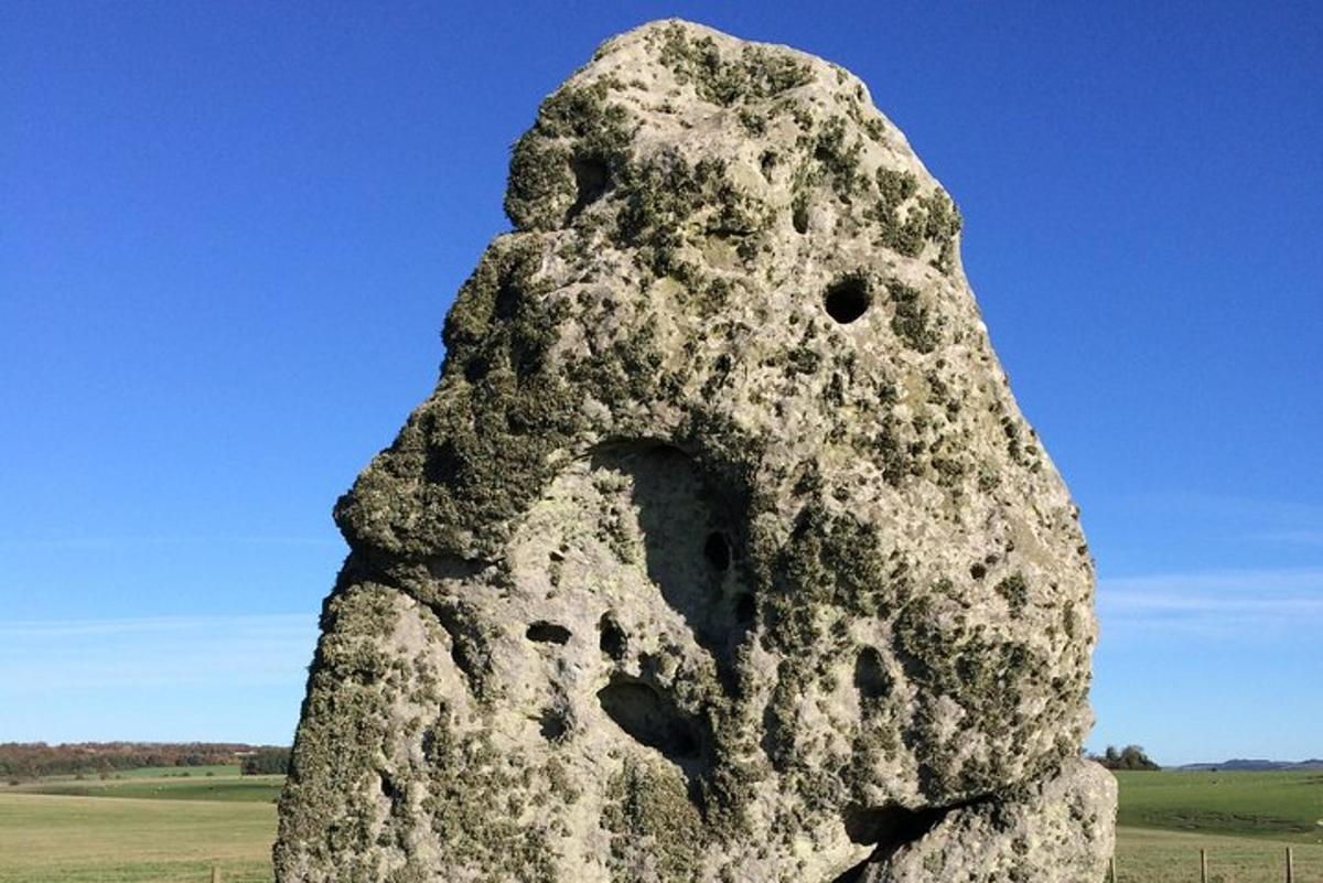 Stonehenge private tour from London