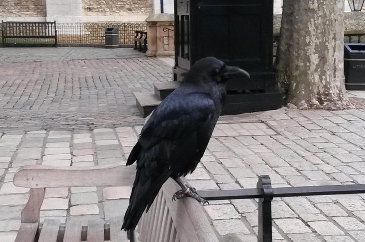 Tower of London Private Tour