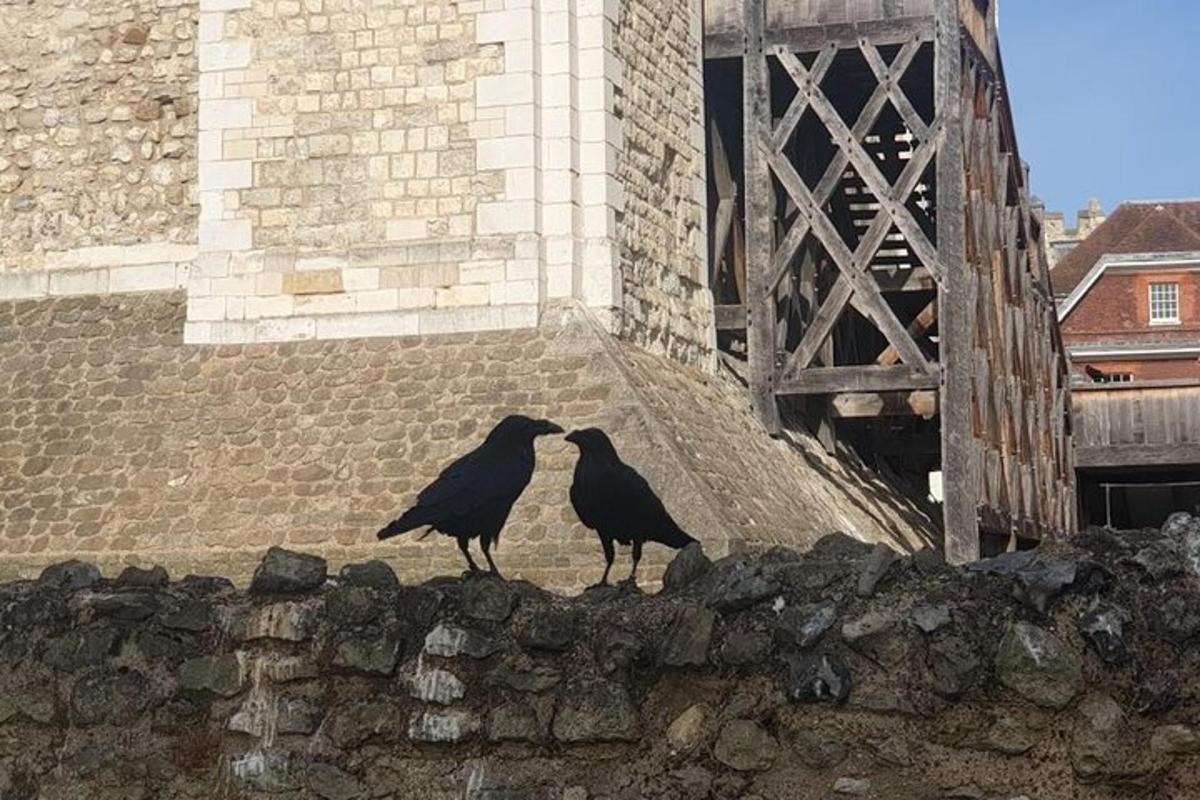 Tower of London Private Tour for Families and Friends