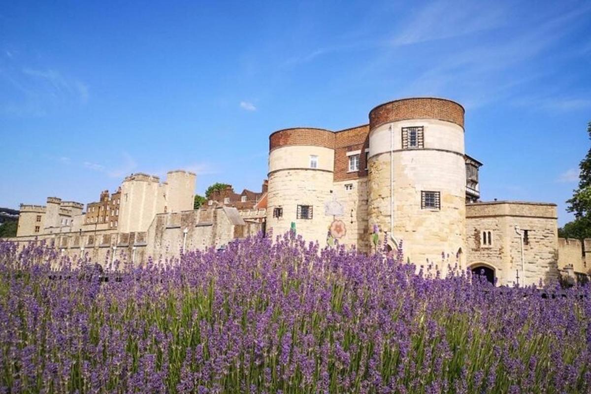 Tower of London Private Tour for Families and Friends