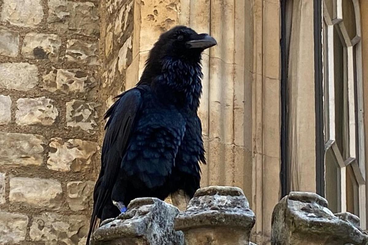 Tower of London & Westminster Abbey VIP Tour with expert guide