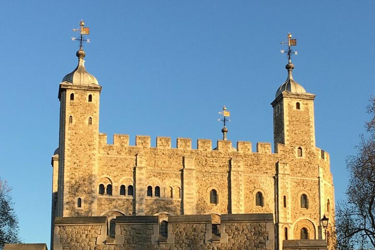 Ultimate Royal London: Tower of London & City of Westminster Tour